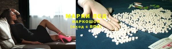 гашик Алексин