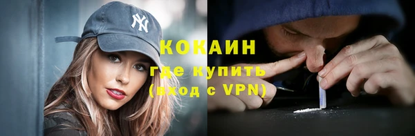 гашик Алексин