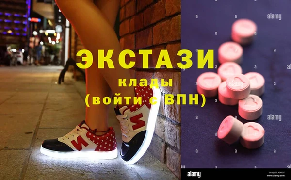 гашик Алексин