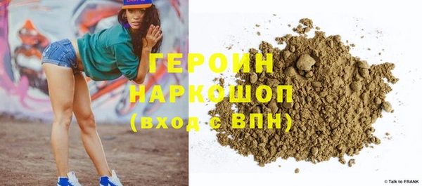 гашик Алексин