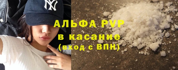 гашик Алексин