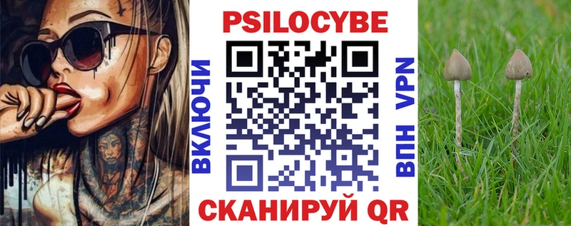хочу Серпухов Псилоцибиновые грибы MAGIC MUSHROOMS
